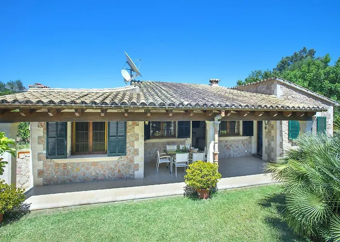 Owl Pau - Fantastic Views