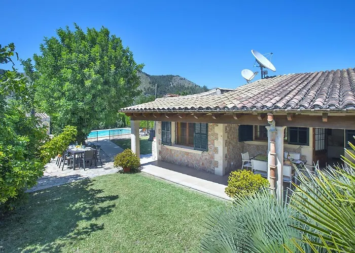 Owl Pau - Fantastic Views