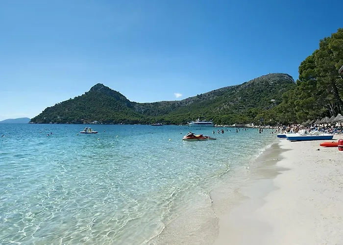 Owl Pau - Fantastic Views *